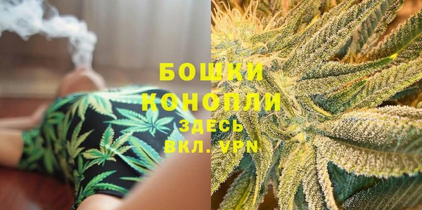 ПСИЛОЦИБИНОВЫЕ ГРИБЫ Белоозёрский